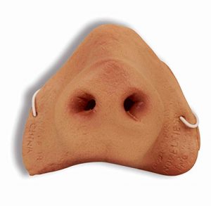 PIG NOSE