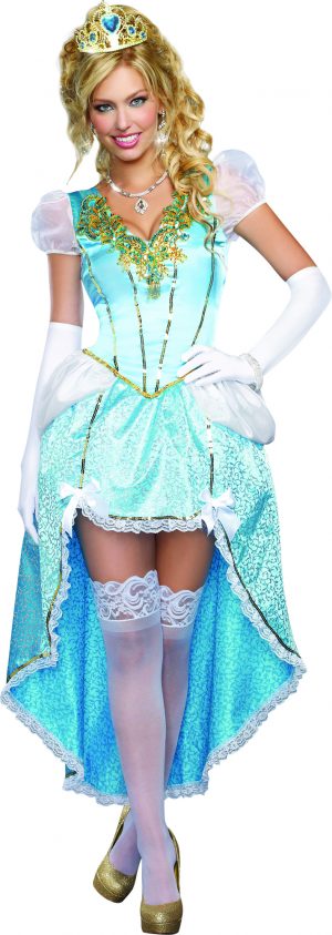 Having a Ball Adult Cinderella Dress LG