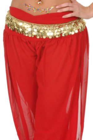 Belly Dancer Coin Belt O/S