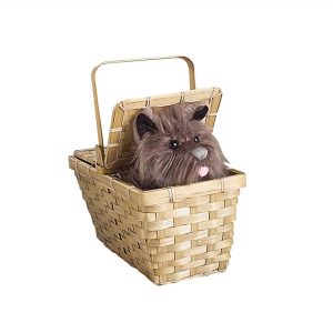 Toto with Basket Deluxe Web
