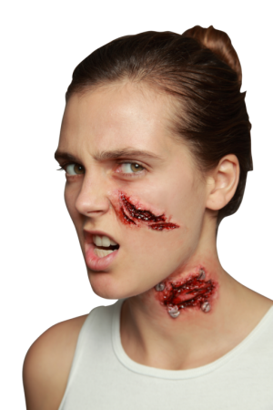 LARGE SLICE APPLIANCE