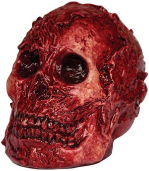 Fleshy Skull Prop