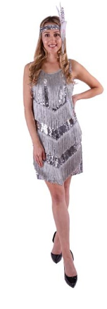 Silver Party Dress Large