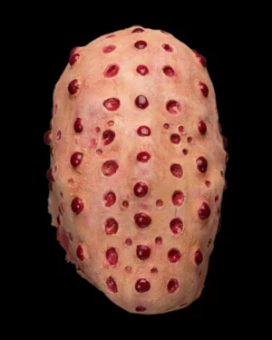 Oktober Studios Trypo- LATEX MASK