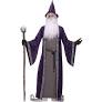 Wizard Men's Costume, Standard